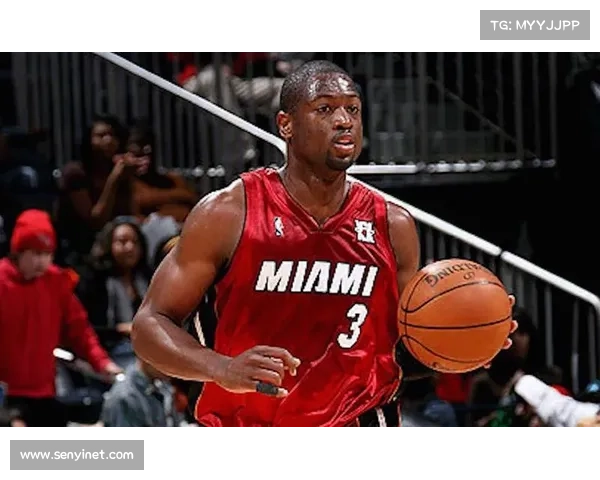 14年前的今天：韦德迷踪步+霸王举鼎 残暴隔扣帕金斯